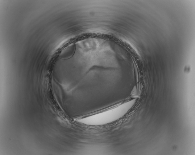 X0000096160968200802011252