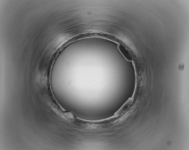 X0000096160969200802011252