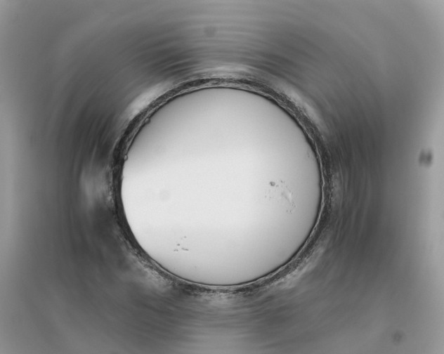 X0000096160970200802011252