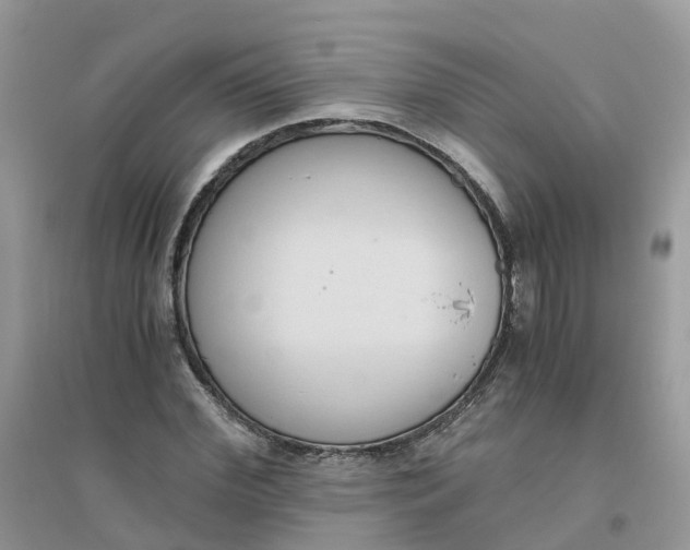 X0000096160972200802011252