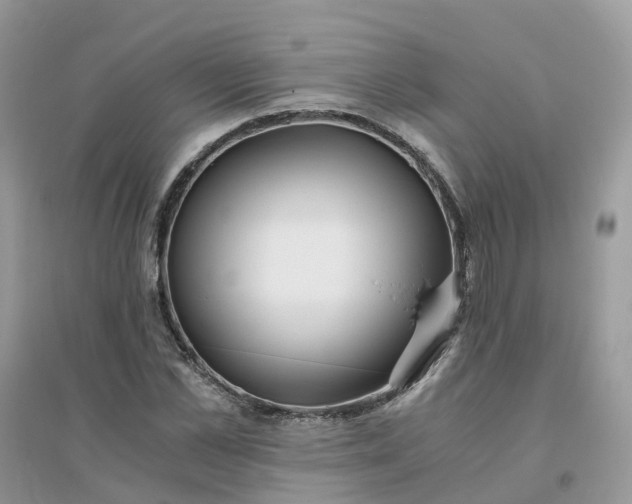 X0000096160973200802011252