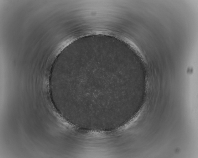 X0000096160977200802011252