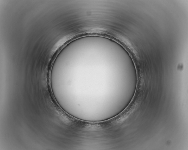 X0000096160978200802011252