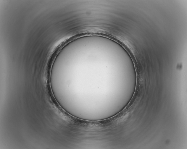 X0000096160979200802011252