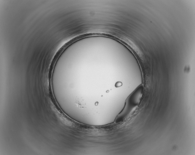 X0000096160980200802011252