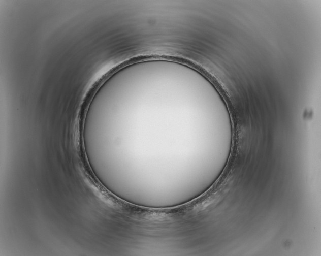 X0000096160982200802011252