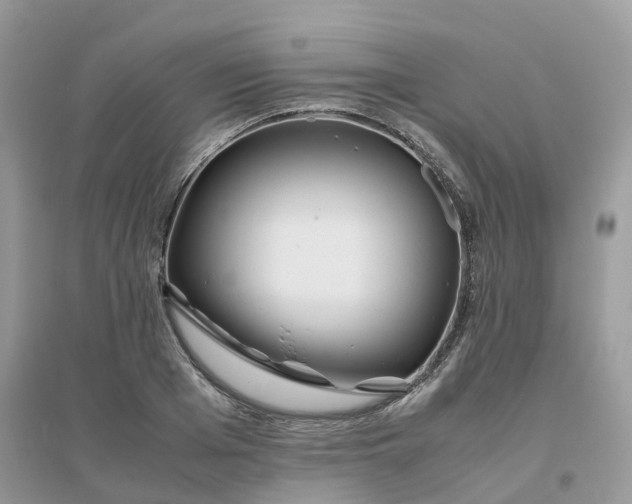 X0000096160985200802011252