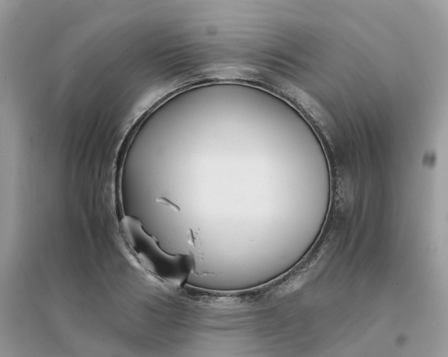 X0000096160986200802011252