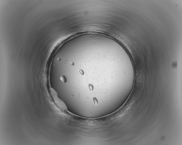 X0000096160987200802011252