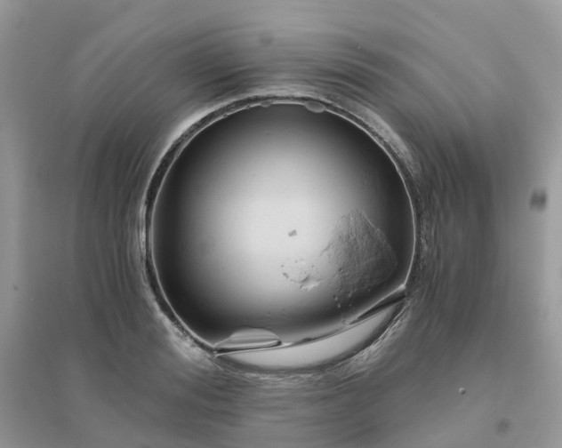 X0000096160988200802011252