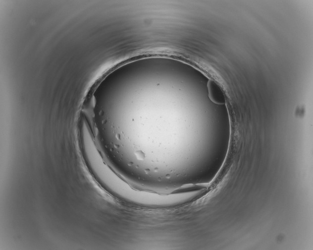 X0000096160989200802011252