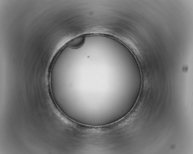 X0000096160990200802011251