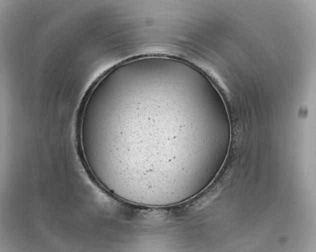 X0000096160991200802011251