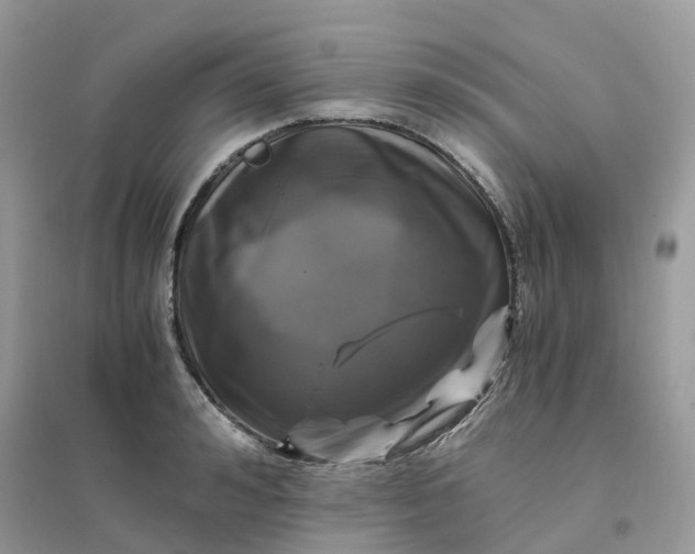 X0000096160992200802011251