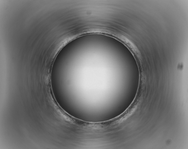 X0000096160993200802011251