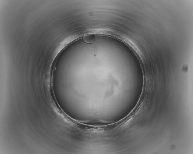 X0000096160994200802011251