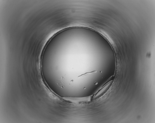 X0000096160996200802011251