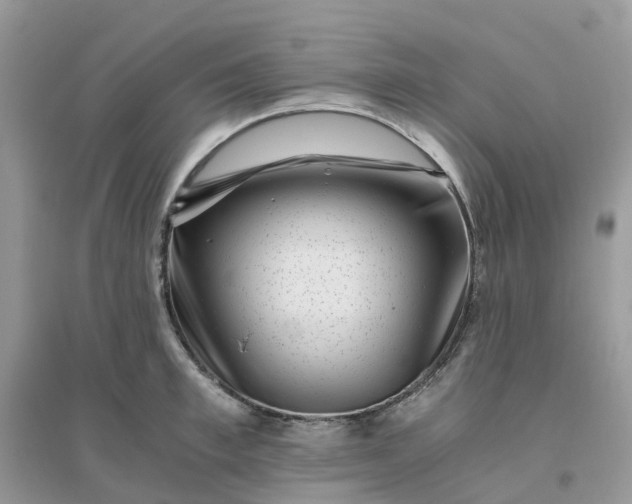 X0000096160997200802011251