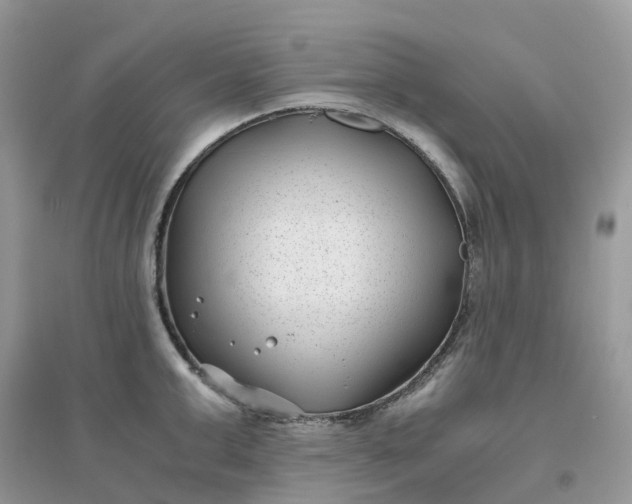 X0000096160999200802011251