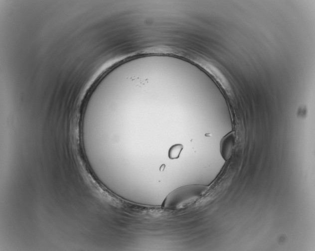 X0000096161000200802011251