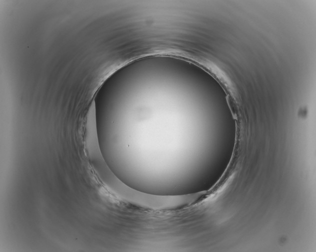 X0000096161001200802011251