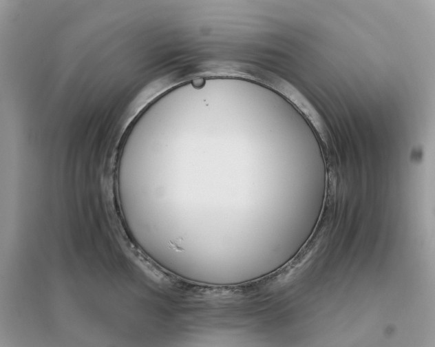 X0000096161002200802011251