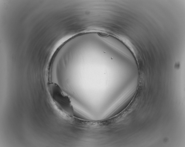 X0000096161003200802011251