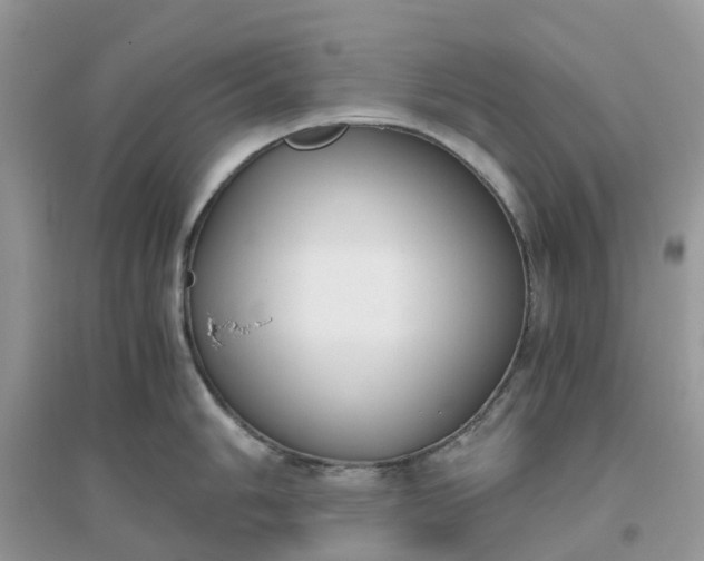 X0000096161006200802011251