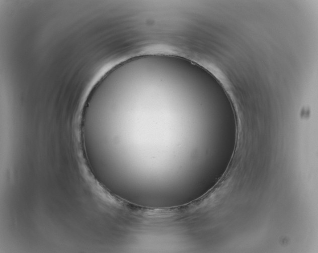 X0000096161008200802011251