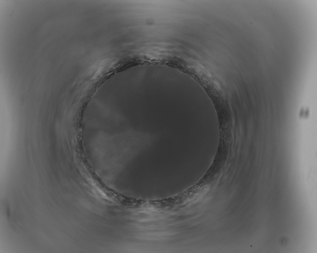 X0000096161009200802011251