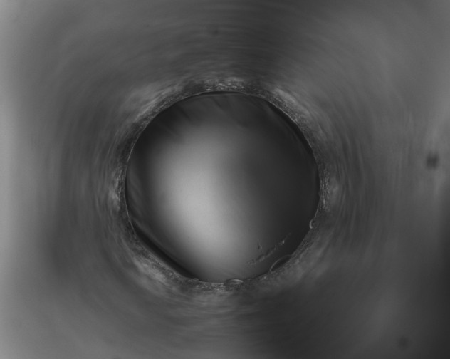 X0000096161010200802011251