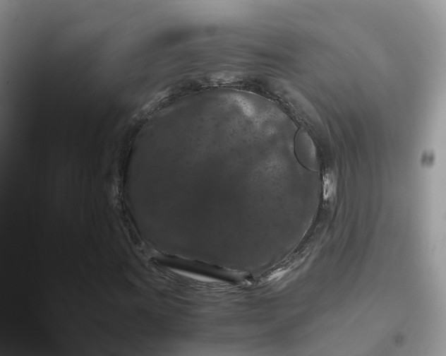 X0000096161011200802011251