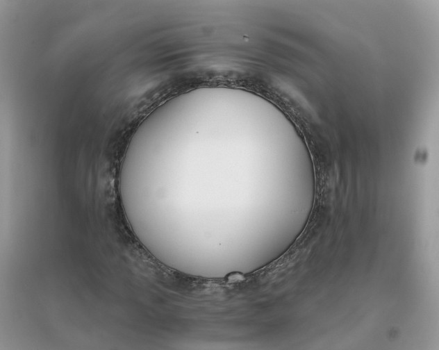 X0000096161013200802011251