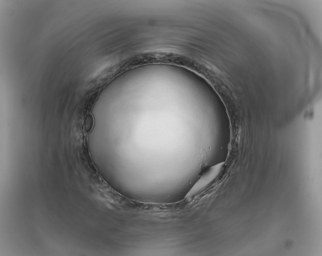 X0000096161014200802011251