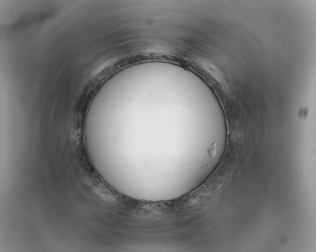 X0000096161015200802011251