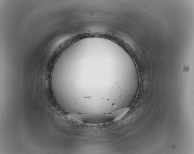 X0000096161016200802011251