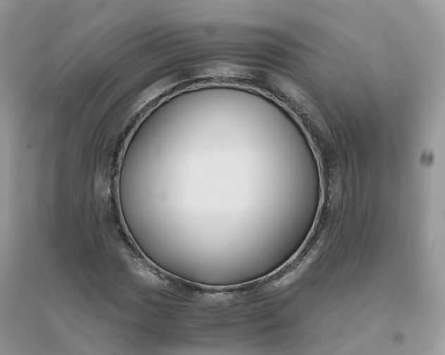 X0000096161017200802011251