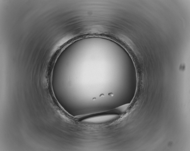 X0000096161018200802011251