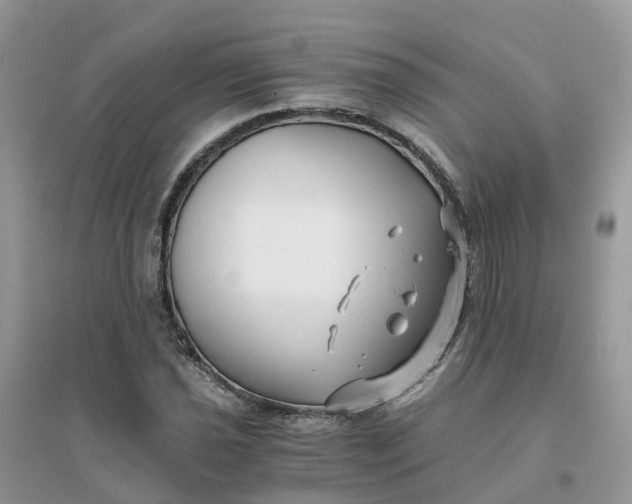 X0000096161021200802011251