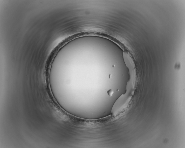 X0000096161022200802011251