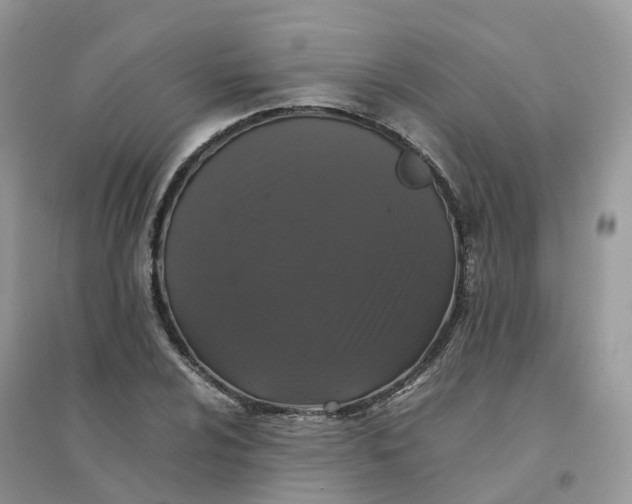 X0000096161024200802011251