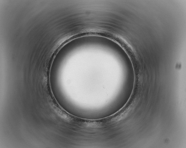 X0000096161025200802011251