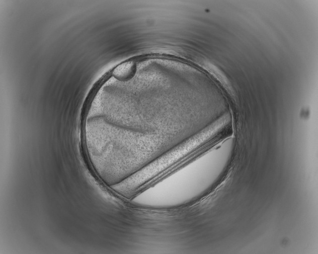 X0000096161028200802011251