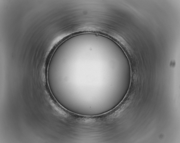 X0000096161030200802011251