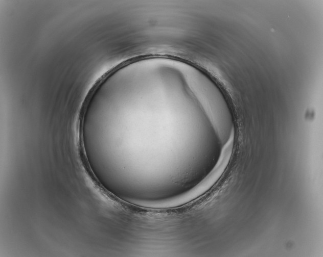 X0000096161032200802011251