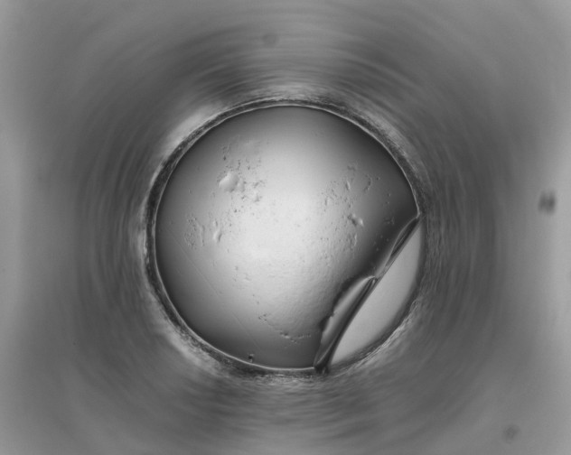 X0000096161034200802011251