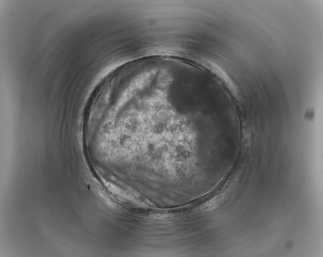 X0000096161035200802011251