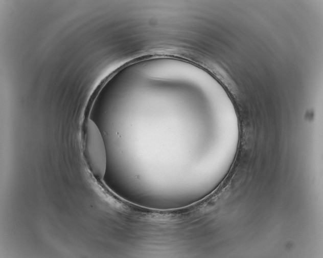 X0000096161036200802011251