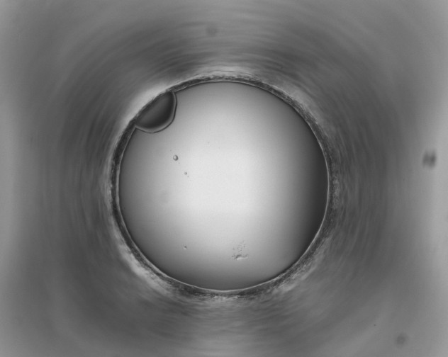 X0000096161038200802011251