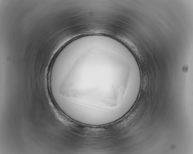 X0000096161039200802011251